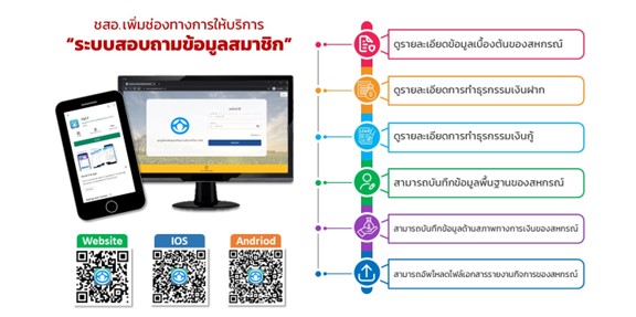 App Mobile